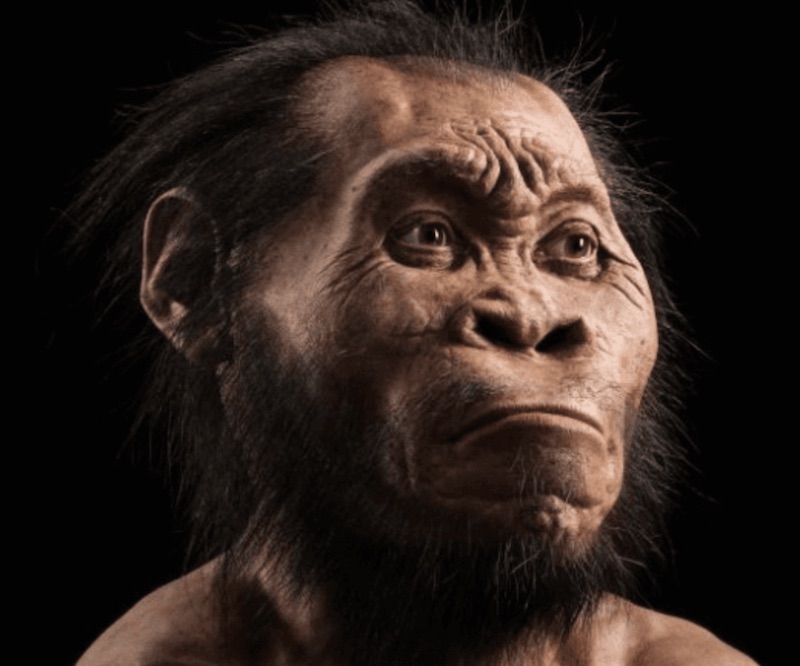 祖先智人模擬臉型外觀