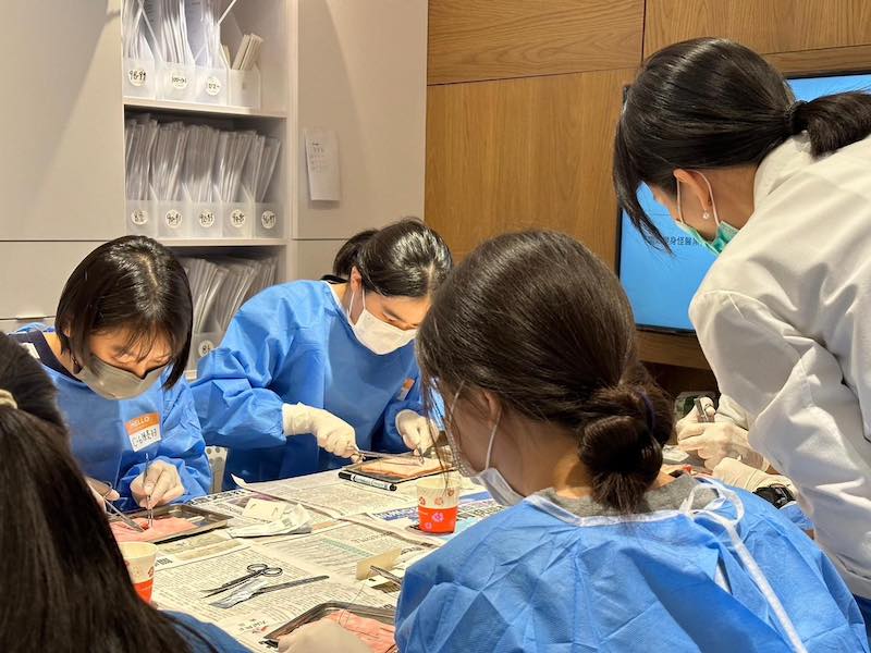 高中生在2023大大牙醫營體驗實作外科豬皮縫合