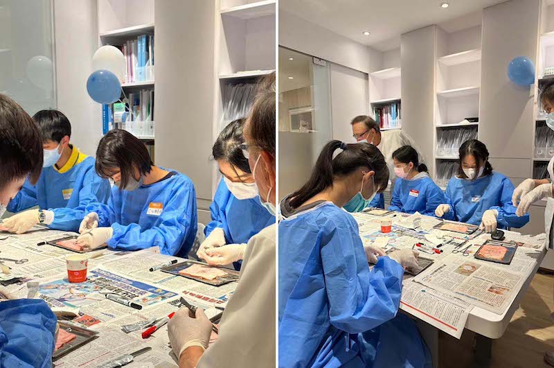 高中生在2023大大牙醫營體驗實作外科豬皮縫合