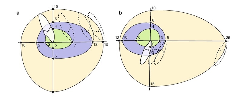 上下顎門牙可移動範圍極限示意圖